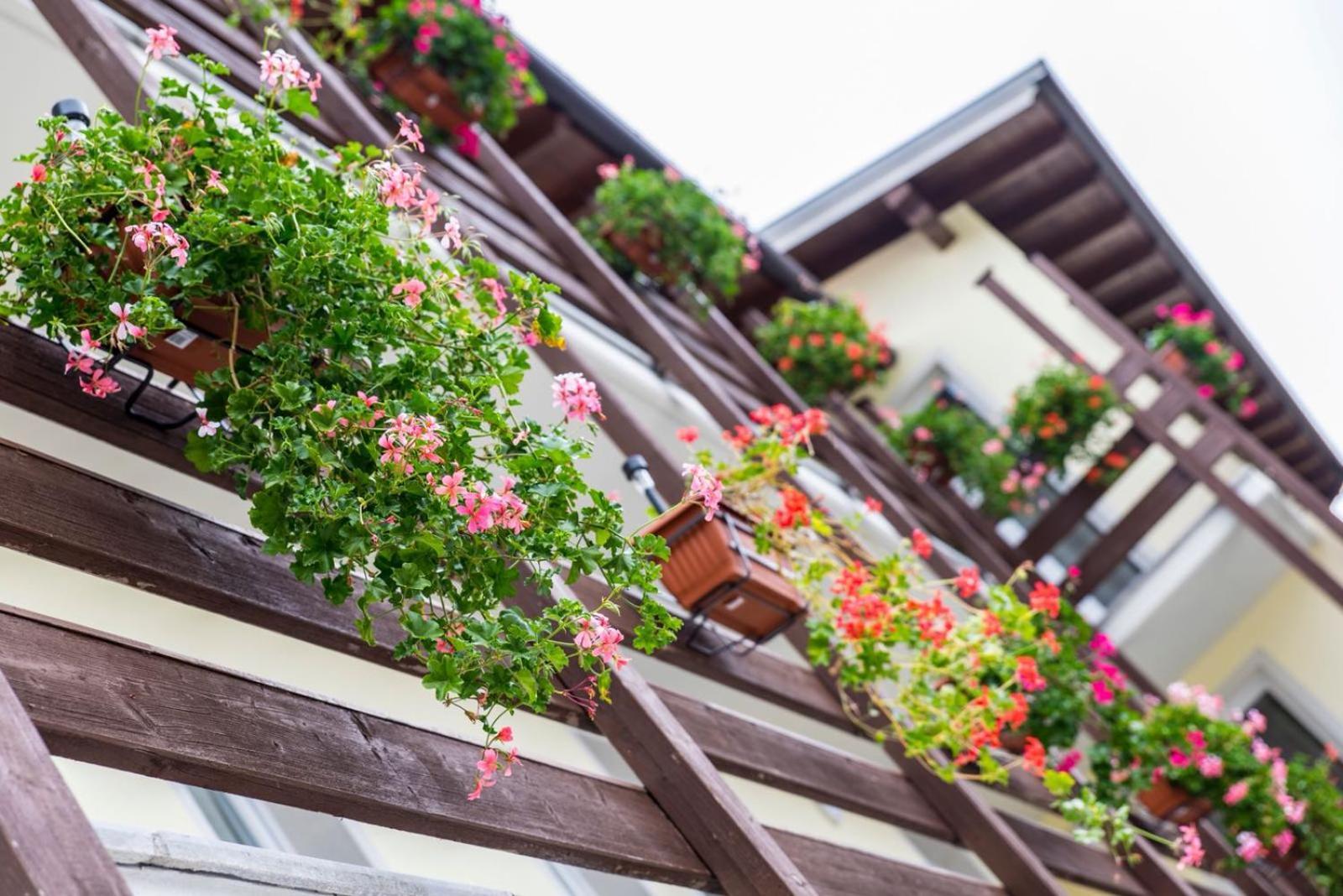 B&B Prato Solaro Taceno Eksteriør bilde